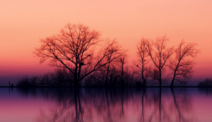 北马其顿队不敌波兰，卫冕冠军发威