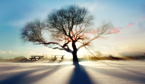 尼斯客场不敌马赛,遭遇失利