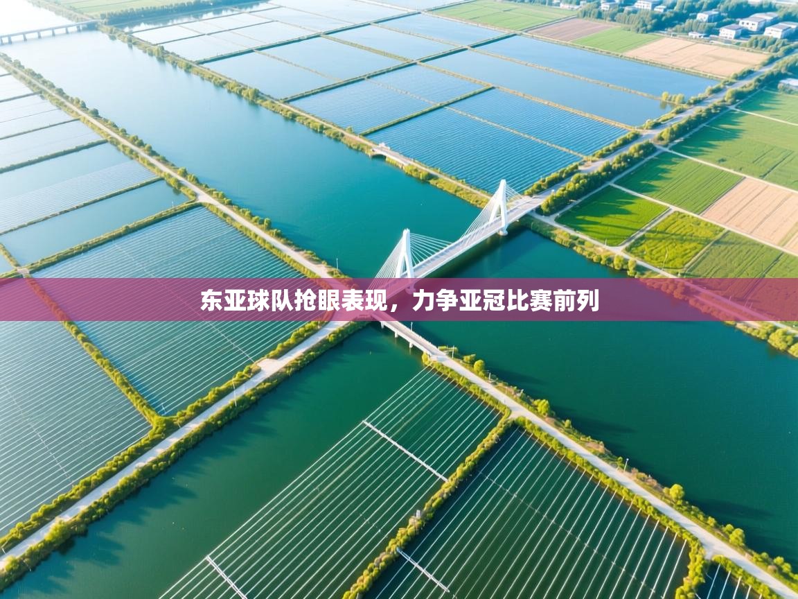 东亚球队抢眼表现，力争亚冠比赛前列  第2张