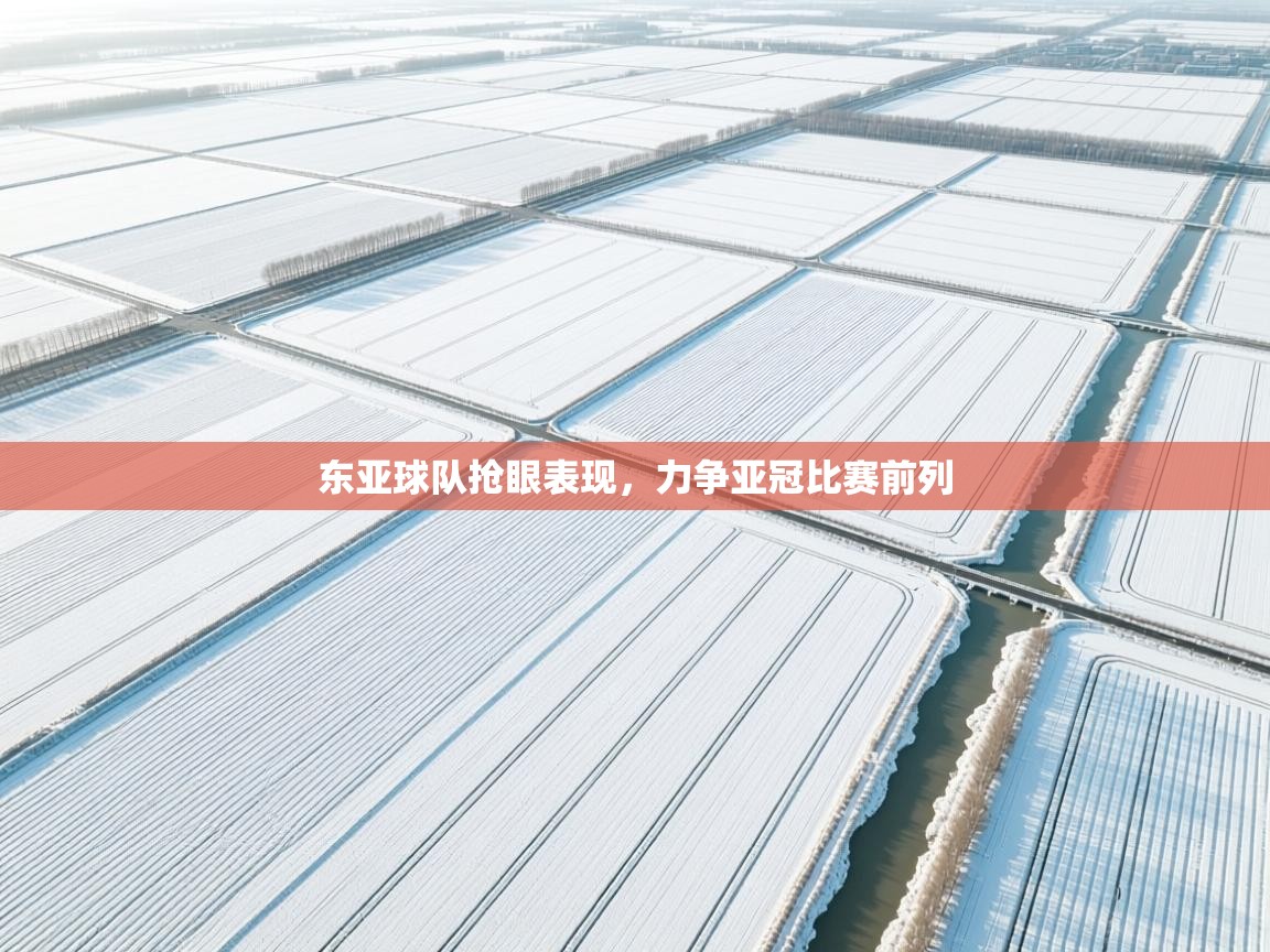 东亚球队抢眼表现，力争亚冠比赛前列