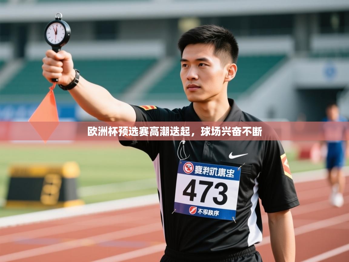 欧洲杯预选赛高潮迭起，球场兴奋不断  第2张