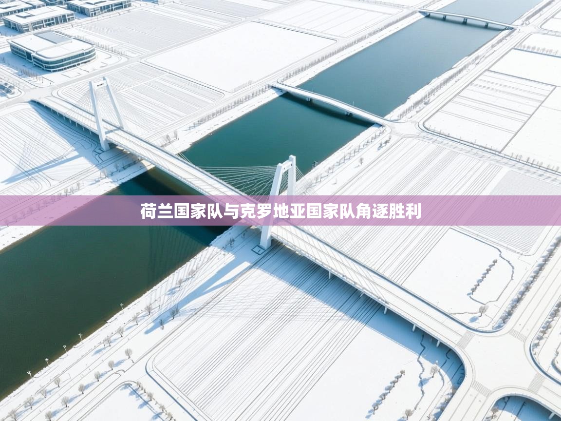 荷兰国家队与克罗地亚国家队角逐胜利