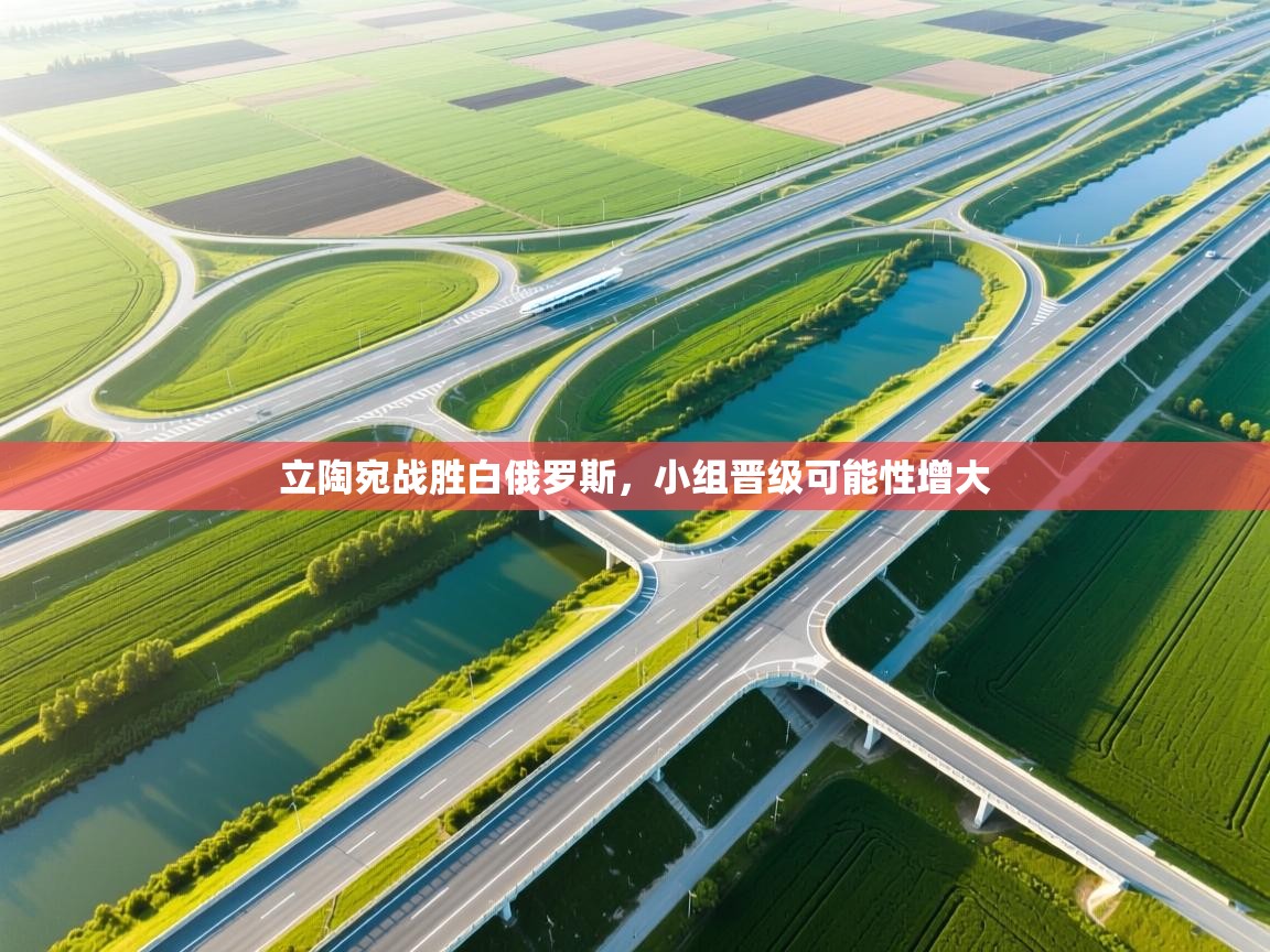 立陶宛战胜白俄罗斯,小组晋级可能性增大 立陶宛战胜白俄罗斯,小组晋级可能性增大