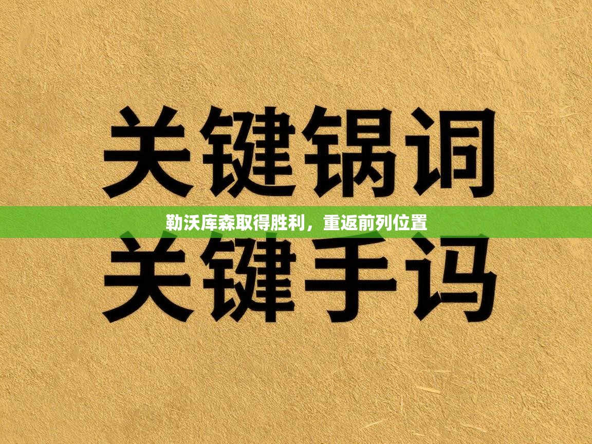 勒沃库森取得胜利,重返前列位置 第1张