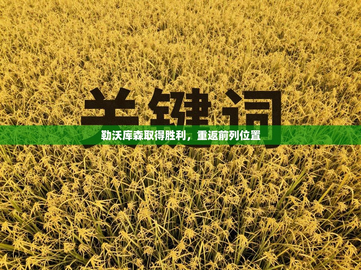 勒沃库森取得胜利,重返前列位置 第2张