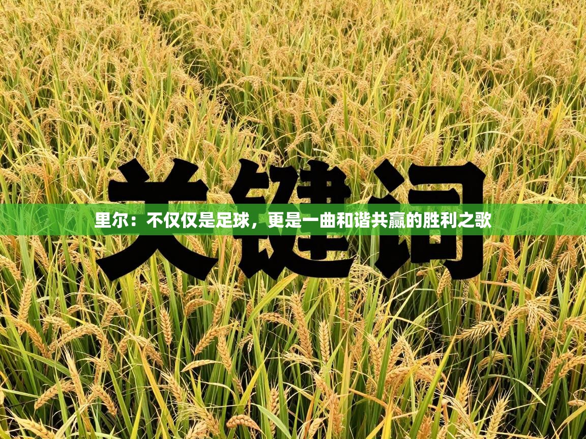 里尔：不仅仅是足球，更是一曲和谐共赢的胜利之歌  第2张