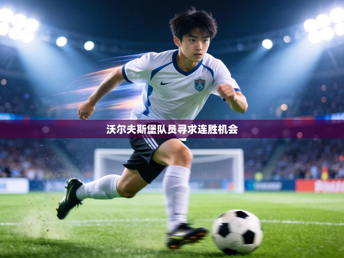 沃尔夫斯堡队员寻求连胜机会 第2张